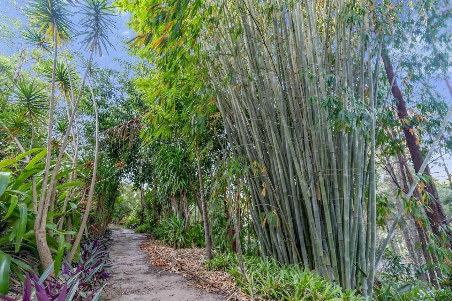 Summer Is Here! Enjoy Exclusive Access For 9, Pool, Media Room, Acreage Estate In Magical Sunshine Coast Mooloolah 0*,  Australia